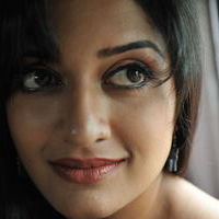 Vimala Raman Hot Pictures | Picture 51102